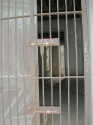 DSCN1978.jpg