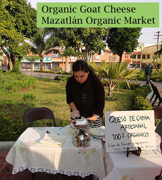 Mazatlan Organic Market Goat Cheese