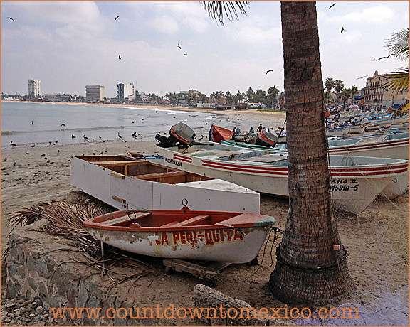 Mazatlan Panga Fishing Boat