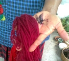 Showing us cochineal insects squished on her hand.