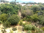 Santo Domingo Church museum garden