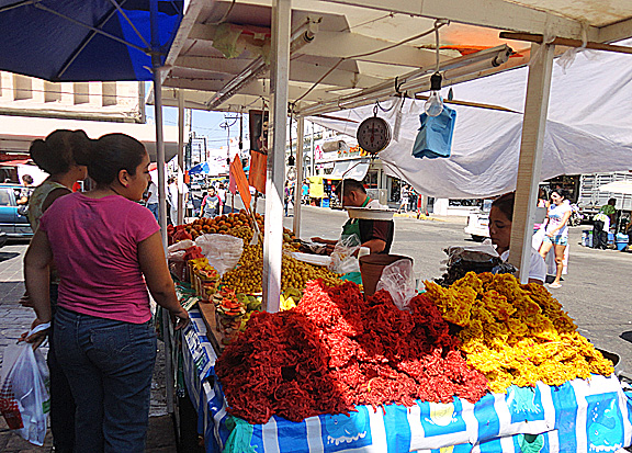 Mazatlán's Pino Suárez Mercado